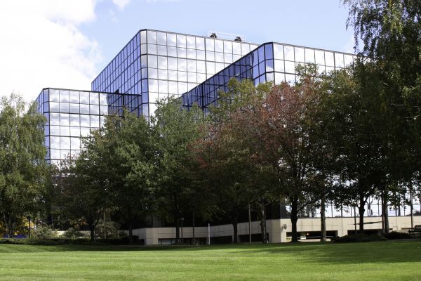 Commercial Tree Trimming in Matthews