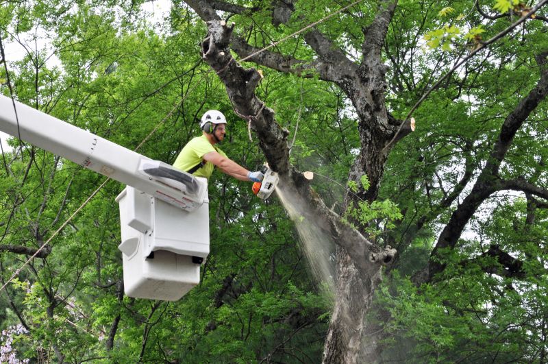 Community Tree Care Initiatives